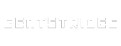 gentstrides.com
